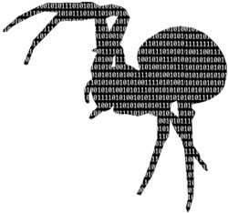 SEO Spiders